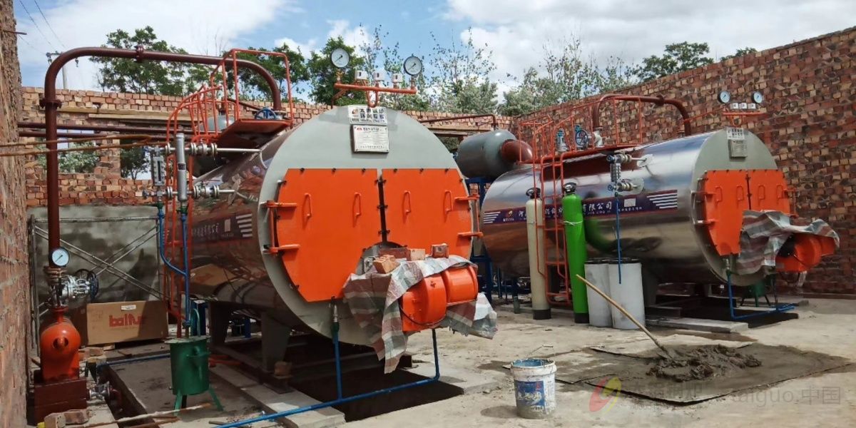 燃气蒸汽锅炉(图2) 170937455048-l.jpg