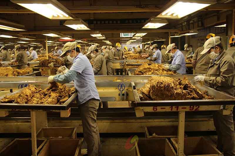 烟草行业 烟草行业