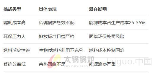 造纸行业(图2) 造纸行业面临的能源挑战.jpg